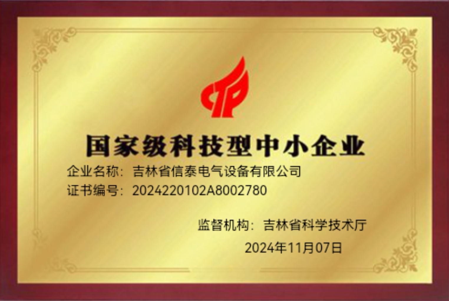 国家级科技型中小企业
